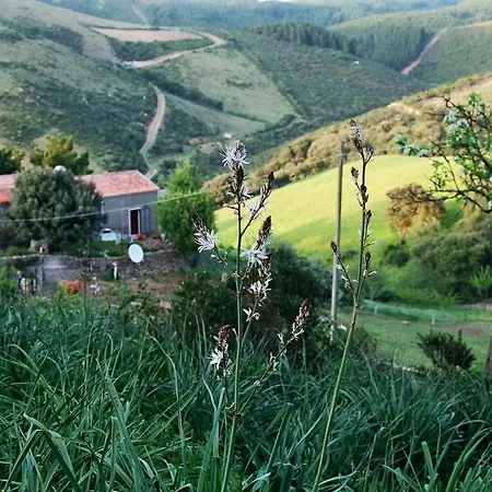 Alloggio per agriturismo Agriturismo Vintura Aggius